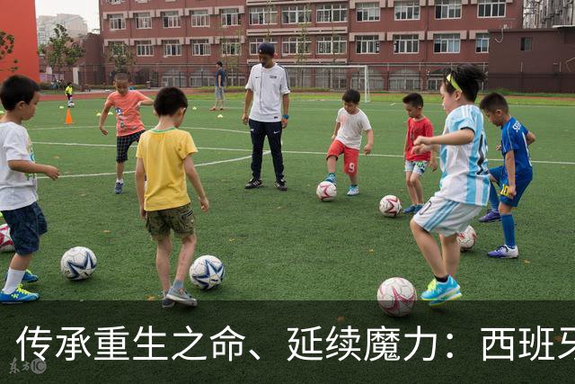 传承重生之命、延续魔力：西班牙 1: 0 阿根尼亚 得冠