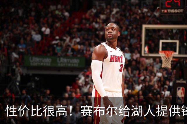 性价比很高！赛布尔给湖人提供锋线防守强度，三分并没有那么拉胯