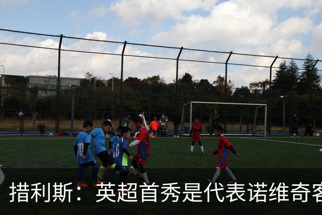 措利斯：英超首秀是代表诺维奇客战阿森纳，来这里是为赢得冠军