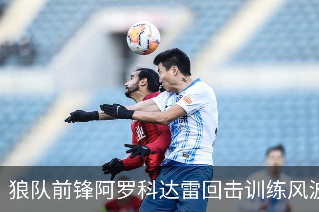 狼队前锋阿罗科达雷回击训练风波，称自己守职业标准
