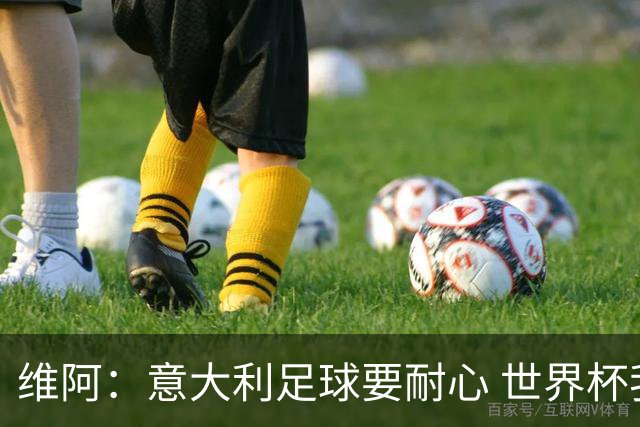 维阿：意大利足球要耐心 世界杯我支持安帅的巴西和儿子的美国队